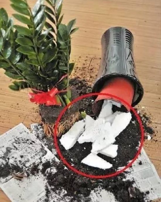 从花盆里倒出来的泡沫 从花盆里倒出来的泡沫