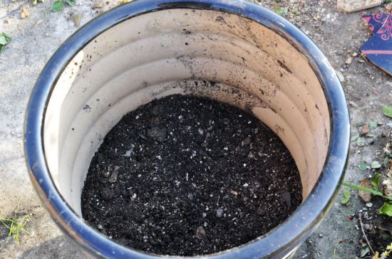 花盆底部垫煤炭 花盆底部垫煤炭