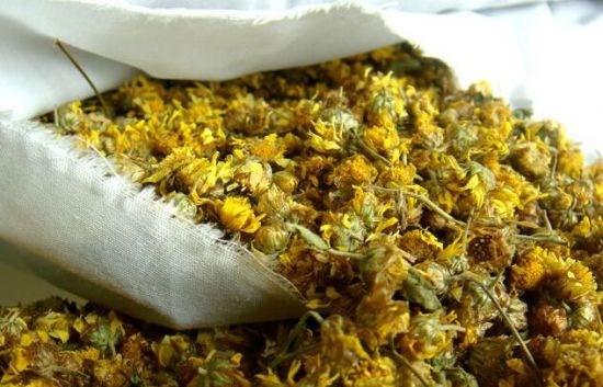 菊花保健 菊花保健