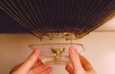 养花小窍门:油烟油养花 养花小窍门:油烟油养花