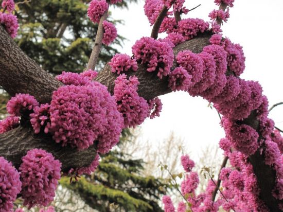 美丽的傍晚图片 美丽的傍晚图片