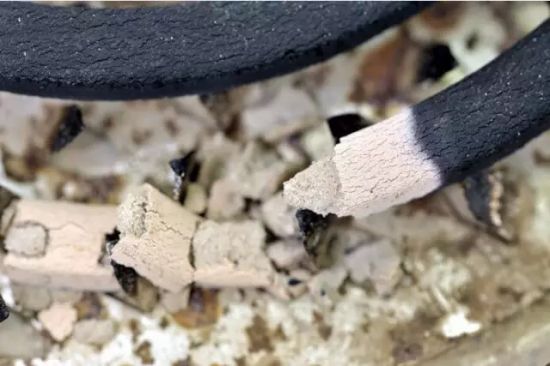 蚊香灰大用处 蚊香灰大用处