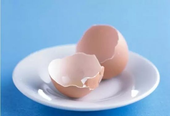 巧用鸡蛋壳 巧用鸡蛋壳