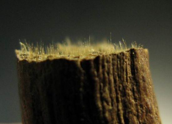 沉香与沉香木的区别 沉香与沉香木的区别