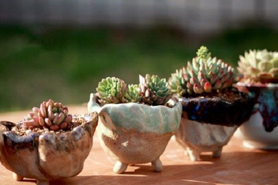 可爱的多肉植物花盆 可爱的多肉植物花盆