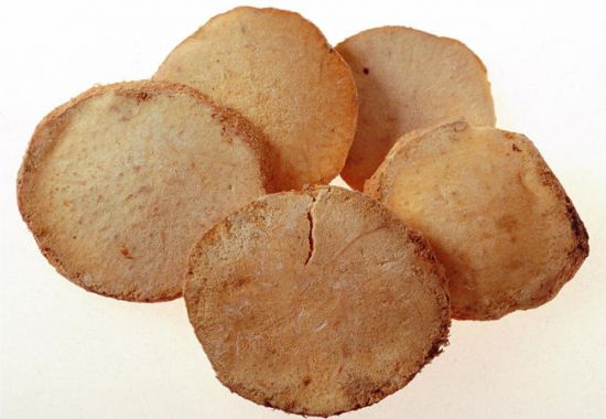 泽泻的鉴别方法 泽泻的鉴别方法