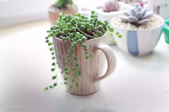 玉串系列“佛珠” 玉串系列“佛珠”