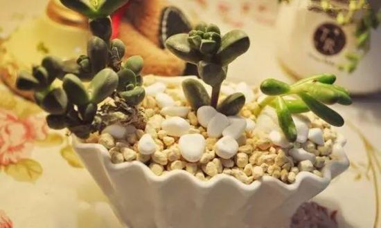 介质最关键 介质最关键