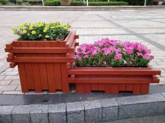 木盆或木楠 木盆或木楠