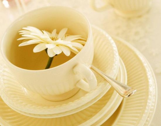 菊花茶 菊花茶