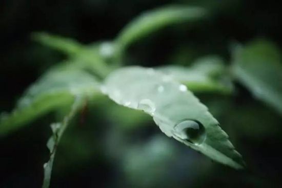 因天气而异 因天气而异