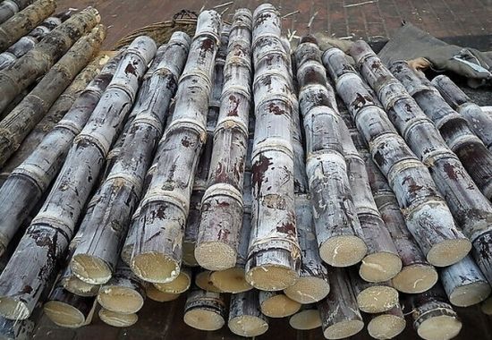 市场上销售的甘蔗图片 市场上销售的甘蔗图片