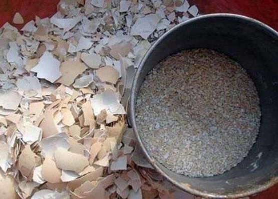 如何自制有机肥料？盘点10种最有效最简单的自制