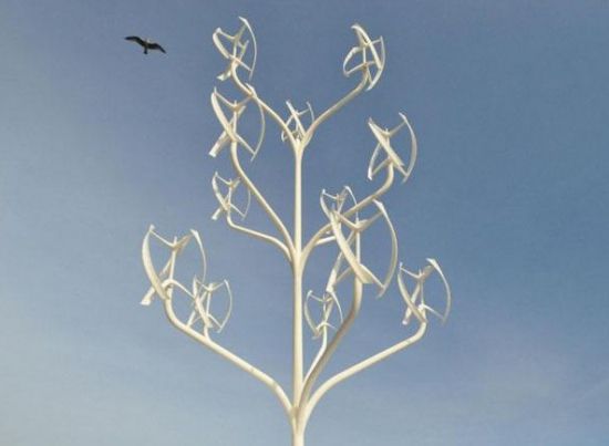 奇趣植物大观 奇趣植物大观