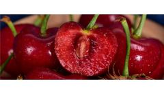 车厘子品种有哪几种？盘点车厘子品种大全