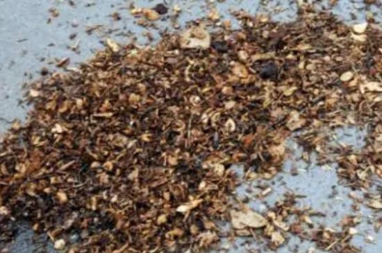 中药渣能当养花的土用吗