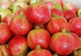 石榴的功效与作用(吃石榴有什么好处)