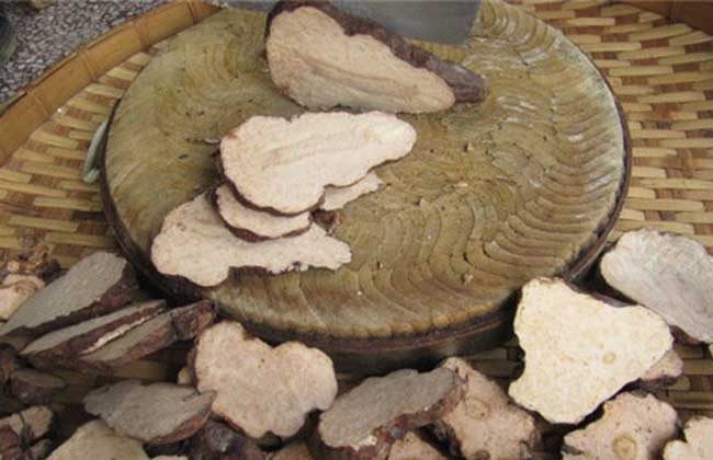 何首乌的副作用