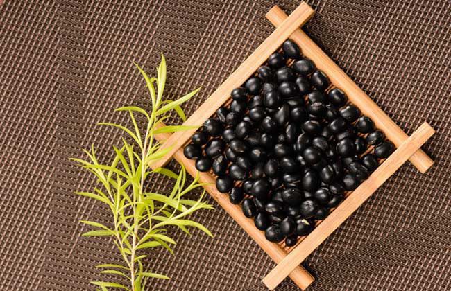 醋泡黑豆什么时候吃