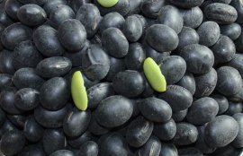 醋泡黑豆什么时候吃最好？(醋泡黑豆我吃了十年