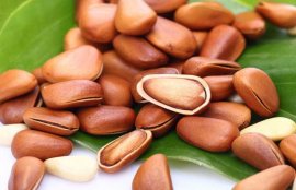 松子吃多了会怎么样？(吃松子第二天嘴苦是什么