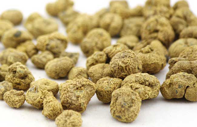 醋延胡索的功效与作用