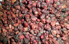 五味子泡水喝的功效与泡法(五味子禁忌)