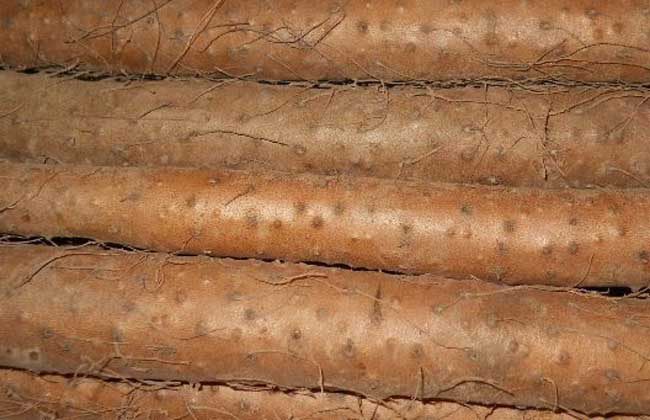 山药过敏怎么才能止痒