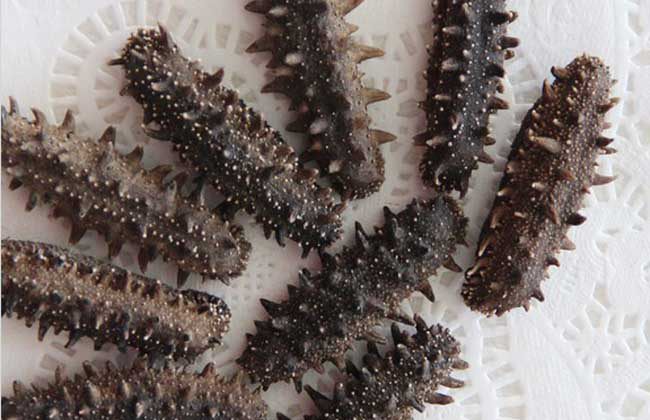 淡干海参的发泡方法和选择技巧