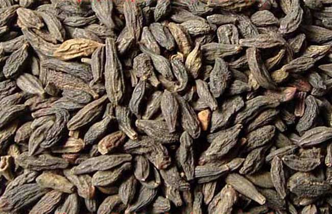 西青果的功效与作用