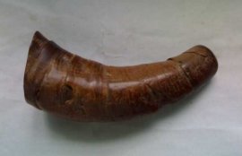 犀牛角的鉴别方法(最快鉴定犀牛角的方法)