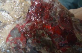 鸡血石原石鉴定方法(几万元一克鸡血石图片)