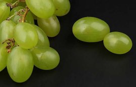 提子能做葡萄酒吗？(提子做葡萄酒的方法)