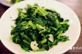 茼蒿要怎么做才好吃？(凉拌茼蒿怎么做好吃)