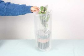 啤酒可以浇茶花吗