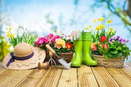 这花放家里，气温立马降10℃，夏天都不想出门了