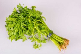 茼蒿的功效与作用