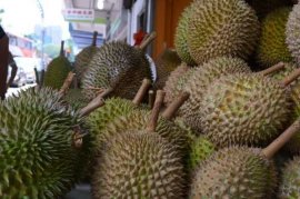 榴莲品种有哪些？常见品种榴莲图片