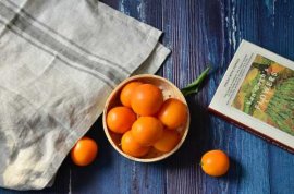 金桔树春天会掉叶子吗