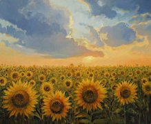 向日葵花的养殖方法